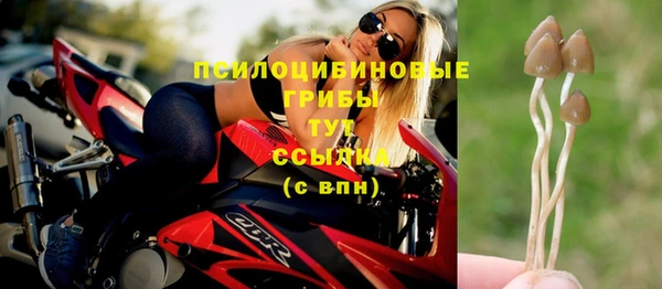 винт Нефтегорск