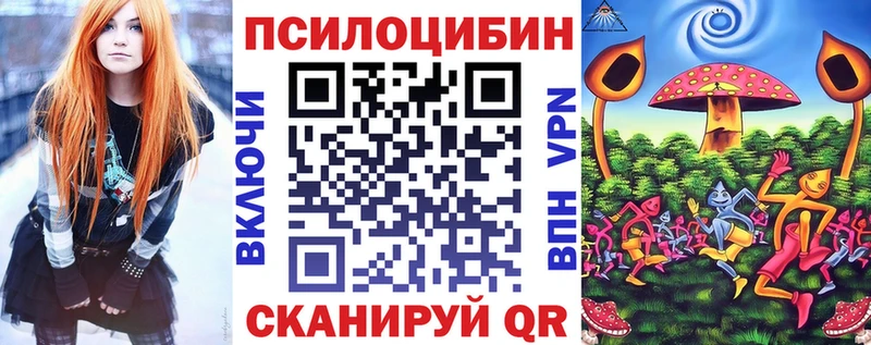 дарнет шоп  Тобольск  Галлюциногенные грибы Psilocybine cubensis 