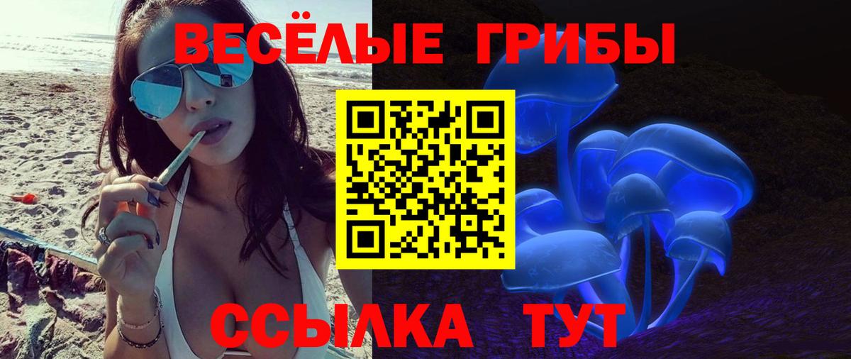 Псилоцибиновые грибы мицелий Тобольск